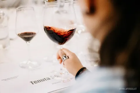 Calici di vino rosso alla degustazione Tenuta San Leonardo